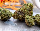 new marijuana dispensaries