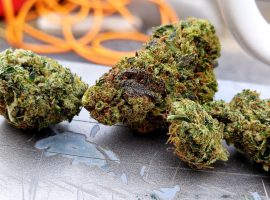 new marijuana dispensaries