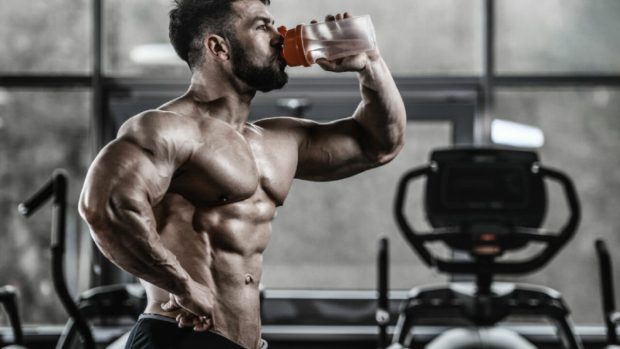 body building foods definition